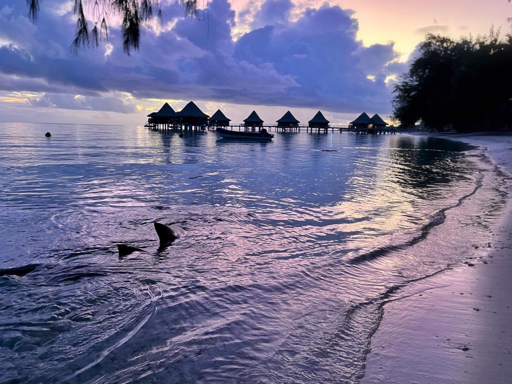 Hinamoe Lodge Avatoru Ngoại thất bức ảnh